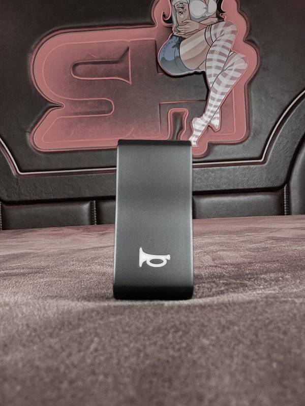 Schalter Scania "Claxon" bei Heinrichs Girl