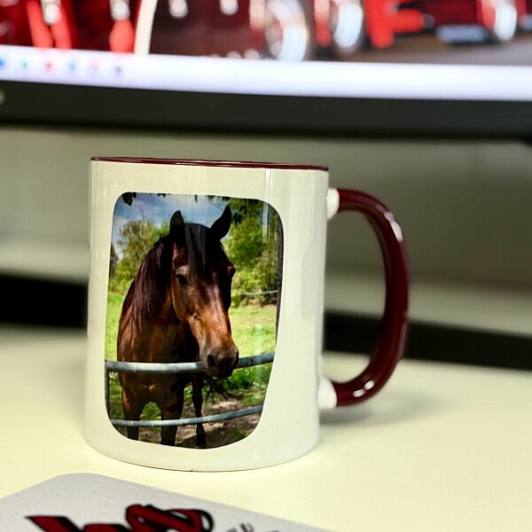 Personalisierte weiße Keramik Tasse mit rotem Henkel und einem Foto von einem braunen Pferd auf einer Weide